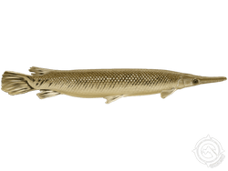 Alligator Gar